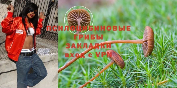 меф Алексин