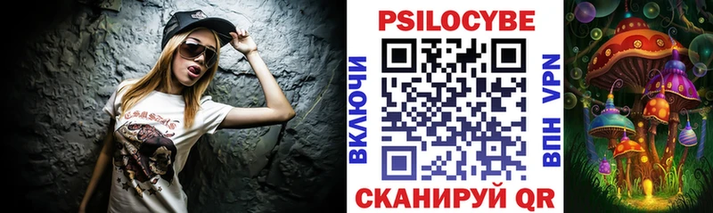 Псилоцибиновые грибы Psilocybine cubensis  наркота  Муравленко 